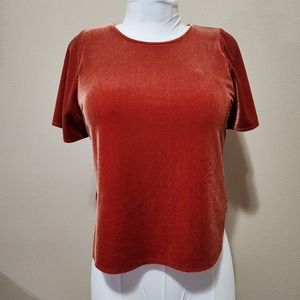 Madewell velvet top